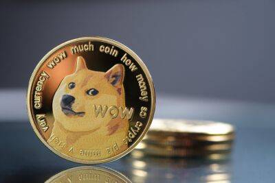 Dogecoin Price Prediction as Price Shoots Up 100% in a Week