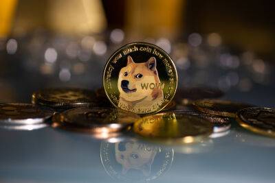 Is it too Late to Buy Dogecoin Today? Expert Analysis