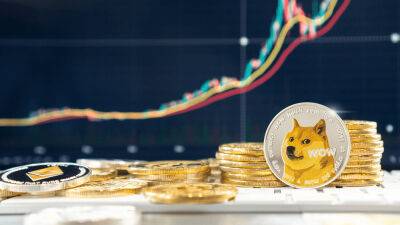 Is Dogecoin a Good Investment in 2022?