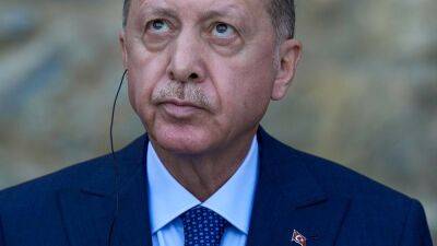 Turkey summons Swedish ambassador over 'insulting' images of Erdogan