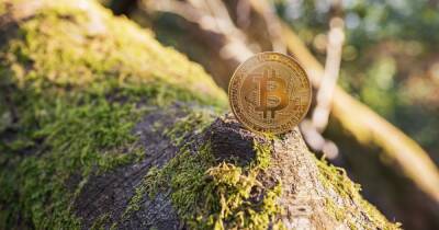 Climate Activists, Billionaire Launch Campaign to Tackle Bitcoin's Impact on Environment
