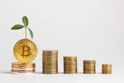 Greenest Cryptocurrencies to Invest In – Beginner’s Guide for 2022