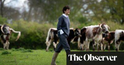 Government poised to scrap nature ‘Brexit bonus’ for farmers