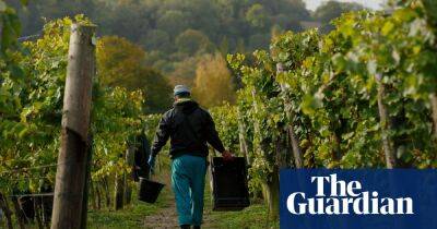 ‘Our fate is unclear’: Indonesian man who paid £1,000 deposit for UK farm job