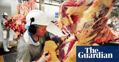 Revealed: world’s biggest meat firm appears to have avoided millions in UK tax