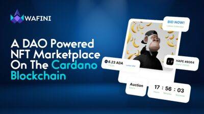 Wafini NFT Marketplace On Cardano Readies For Seed Sale + Ongoing Seed Sale Whitelist