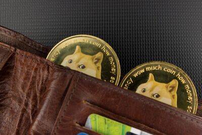 As Dogecoin Price Explodes, These 3 New Altcoins Might 10x