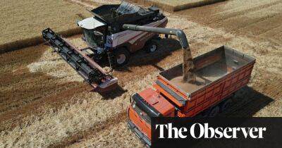 Bitter harvest for some in a global economy changed by Russia’s war