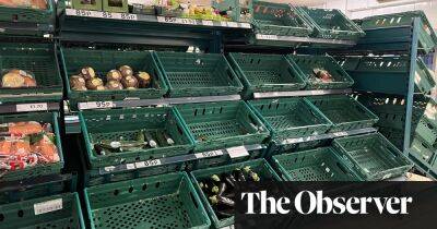 Yes, we have no tomatoes: Why shelves are emptying in UK stores