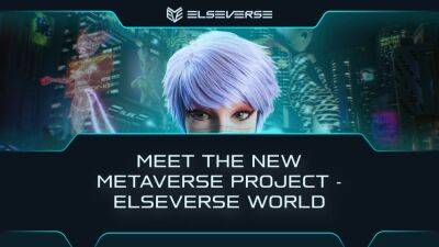 Meet The New Metaverse Project - ElseVerse World