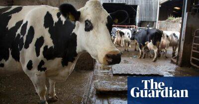 UK farming causes over a quarter of cities’ particle pollution, study finds