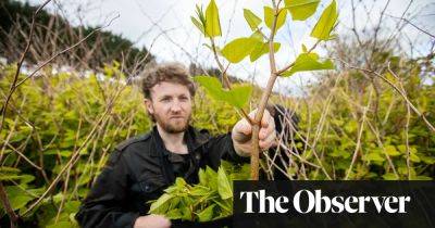 Squirrel haggis and Japanese knotweed reach UK menus as invasive species trend grows